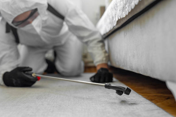 Professional Cockroach Control technician working in Newburg, WI